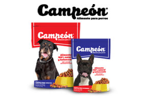 Campeón. Alimento para perros.